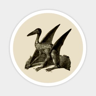 Archaeopteryx Magnet